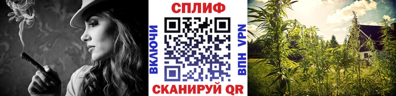 Виды наркоты Барыш АМФ  Alpha PVP  Экстази  Cocaine  Гашиш  Галлюциногенные грибы 
