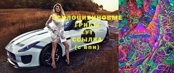 твердый Балахна