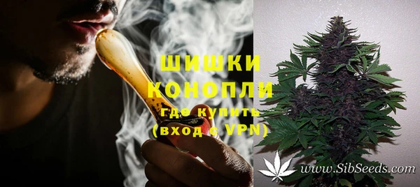 mix Белокуриха