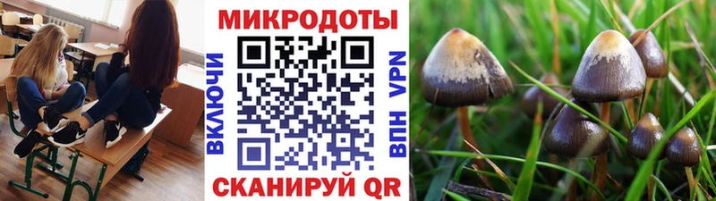 ссылка на мегу рабочий сайт  Барыш  Галлюциногенные грибы мухоморы  где можно купить  